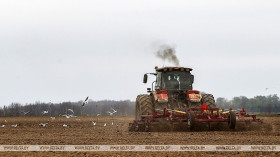 Sugar beet planting in Belarus over 94% complete