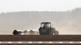 Grain maize planting in Belarus complete