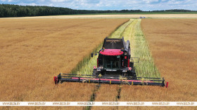 Lukashenko lauds farmers for great results amid challenging season