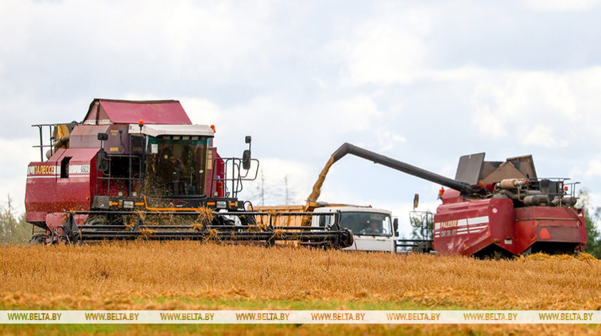 Belarus’ grain harvest exceeds 9.2m tonnes