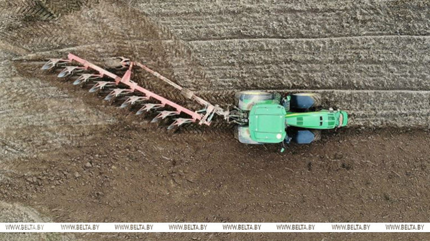 "Трэба працаваць дзень і ноч". Лукашэнка патрабуе ад аграрыяў своечасова завяршыць асеннія палявыя работы