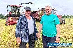 На дваіх 400 тон у дзень. Як у СВК «Маяк Браслаўскі» нарыхтоўваюць зялёную масу