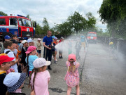 Браслав. Знания в игре